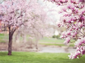 Najkrajšie botanické záhrady na Slovensku